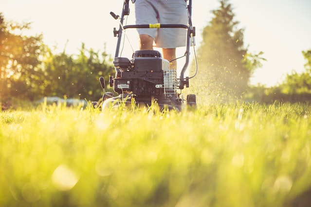 Mowing the lawn can increase phosphates 